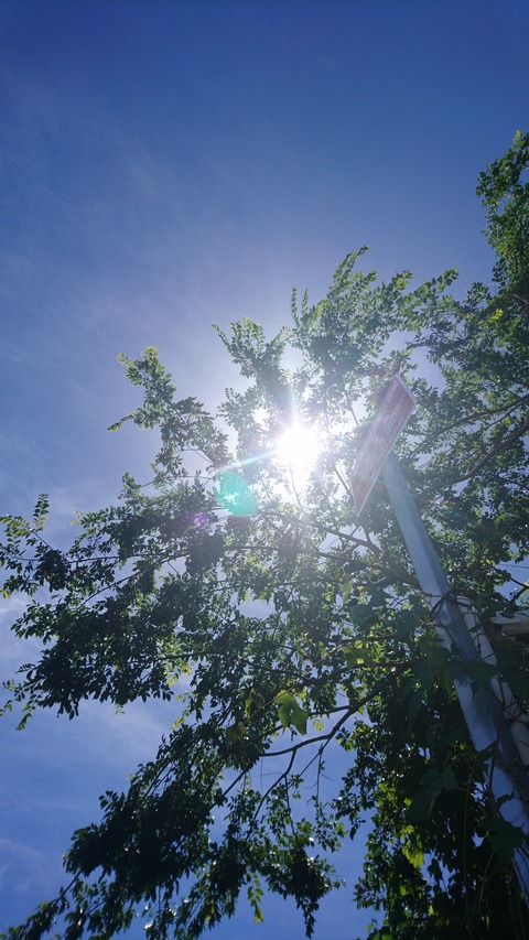 DSC_1421