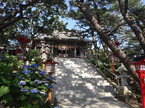 DSC02216