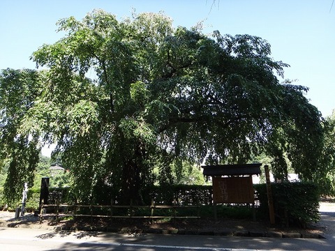 DSC02168
