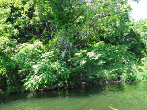 DSC01821