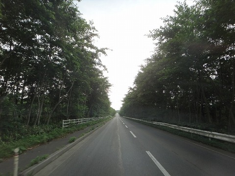 DSC02290
