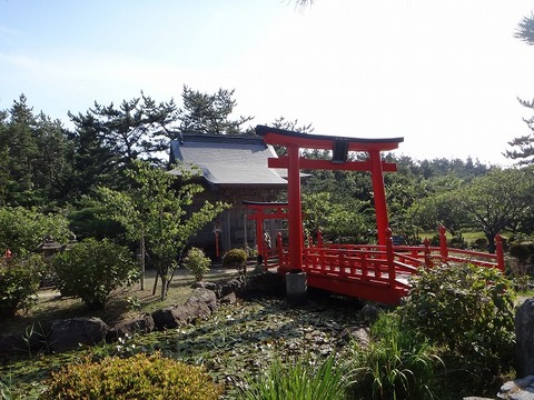 DSC02217