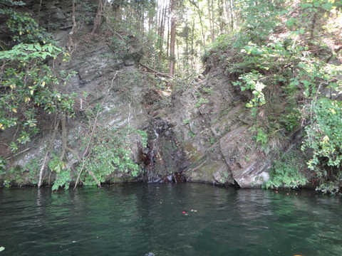 DSC01819