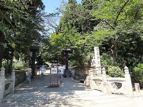 DSC02340