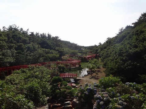 DSC02225