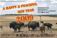 ǯ����Хåե�����