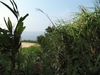 �쥷�ʳ�