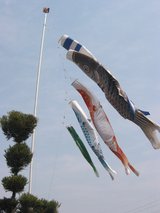こいのぼり