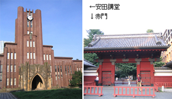 東京大学
