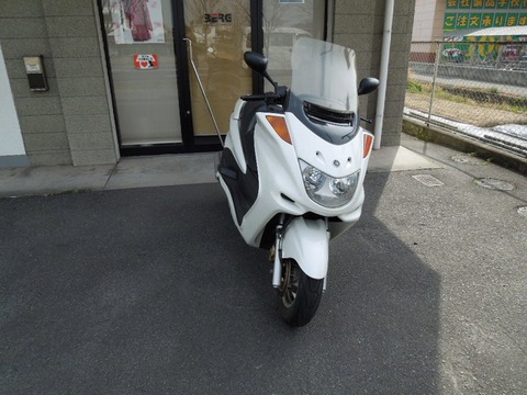 マジェラスト