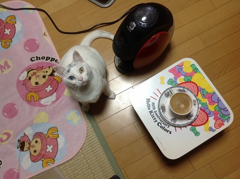 バリスタ2