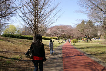 2009.4.2d