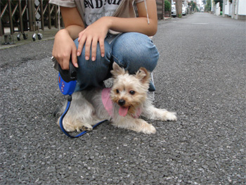 2008.9.15e