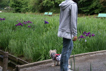 2008.6.1a