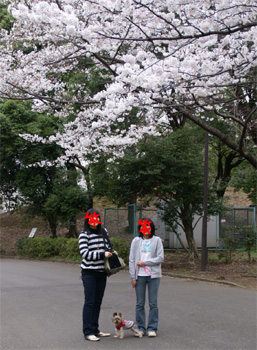 2008.3.30f