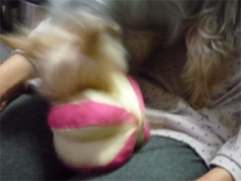 2010.3.2h