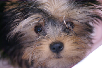 2008.2.22