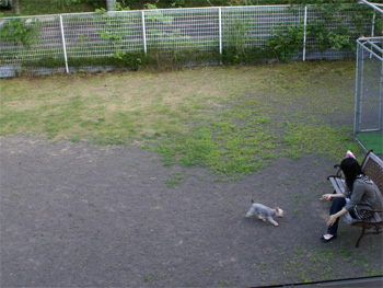 2008.7.29f