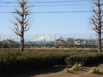 2008.2.25b