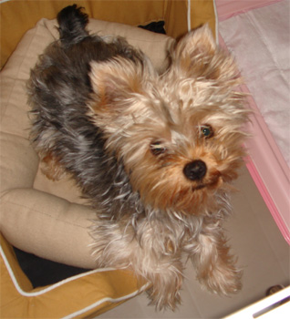 2008.5.30