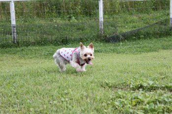 2010.8.18d