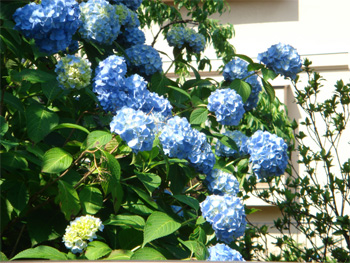 2008.6.10f
