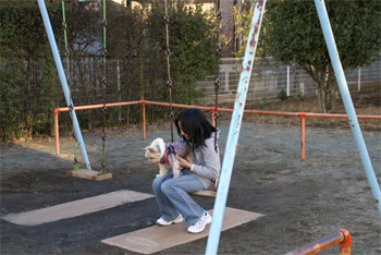 2009.1.11h