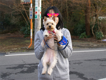 2009.2.20f