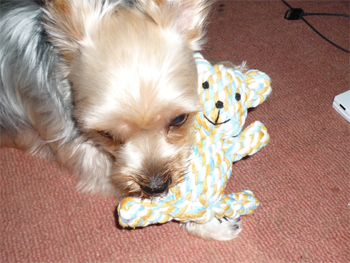 2009.7.13b