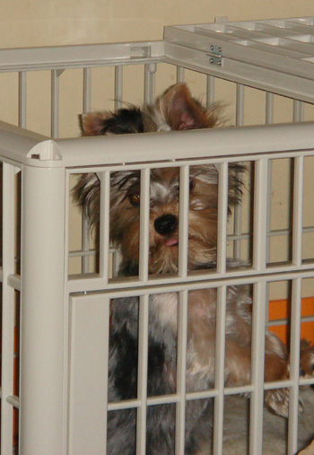 2008.3.26b