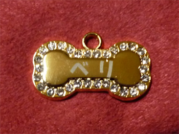 2008.11.25b