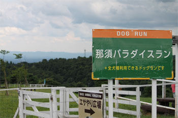 2010.8.18n