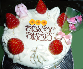 2008.11.24b