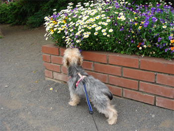 2008.5.9a