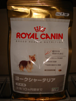 2008.6.19a