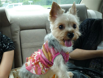 2010.8.19b