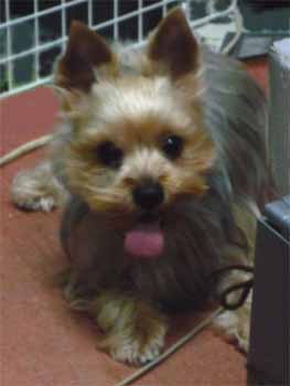 2010.1.6