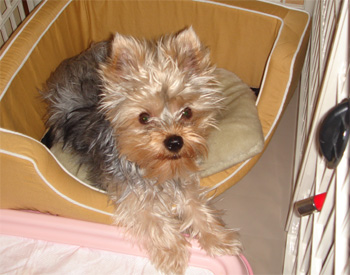 2008.5.24