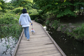 2008.6.1j