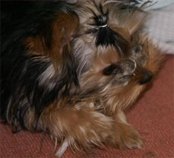 2008.2.25