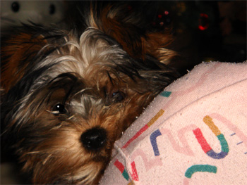 2008.2.23