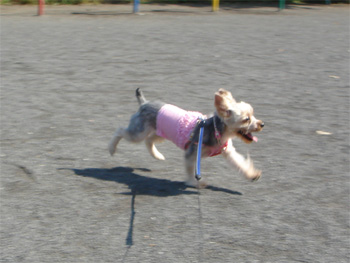 2008.6.10b