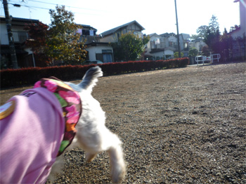 2008.11.17e