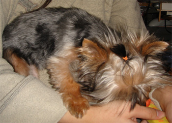 2008.3.20b