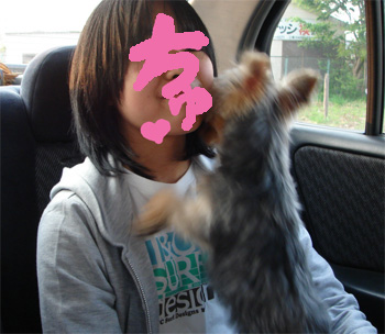 2008.4.22a