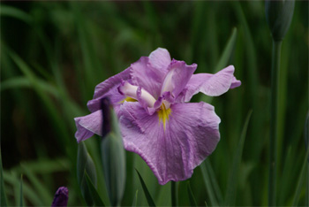 2008.6.1b