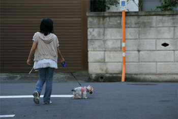 2008.9.23a