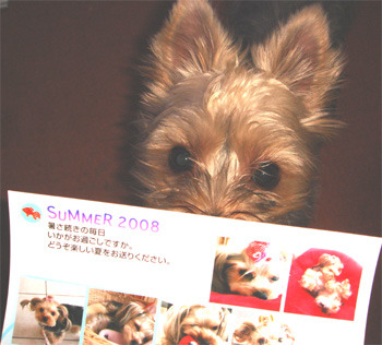 2008.8.19a