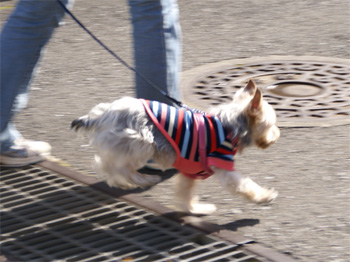 2009.3.15f