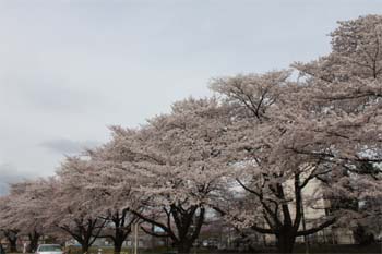 2010.4.9b